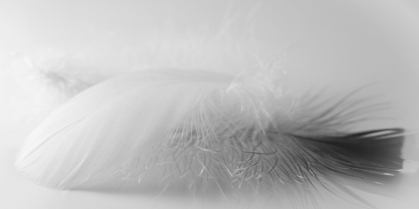 resoources_banner